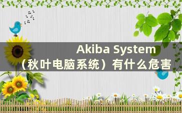 Akiba System（秋叶电脑系统）有什么危害